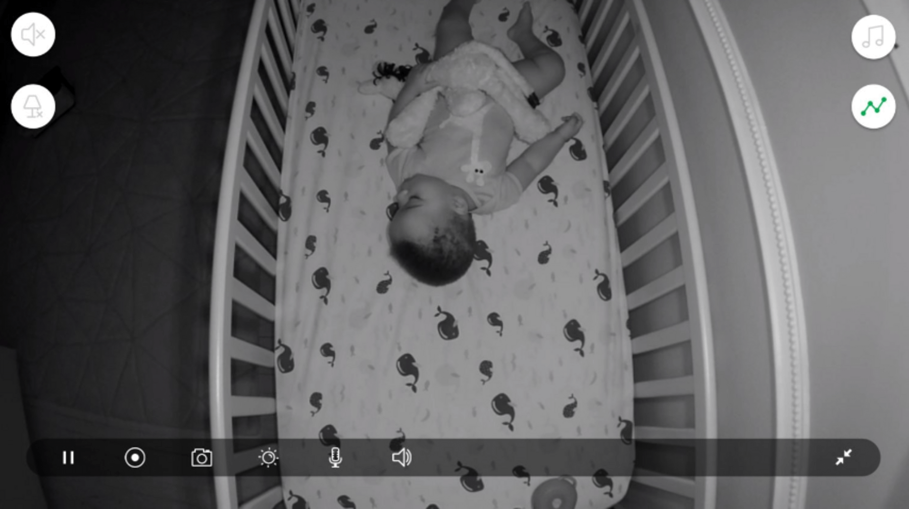 Night vision camera shows a baby in the crib
